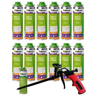 Kombisets FM220 PUR-Schaum 500ml