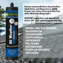 Allwetter Repair Dachdicht, Butyldichtstoff, extrem...