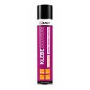 duBAUST WSP24 Klebeschaum  WDVS 750ml –...