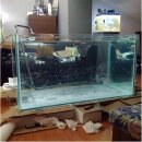 12x duBAUST SAQ24 Aquariumsilikon 310ml Kartusche - 2 Farben