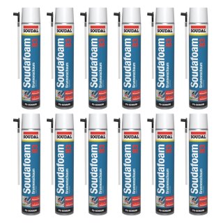 SET 12 x Soudafoam B3 Brunnenschaum á 750 ml Adapterschaum