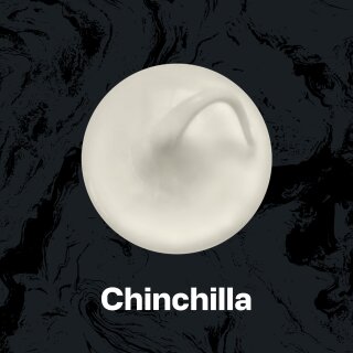 chinchilla