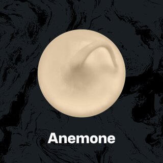 anemone
