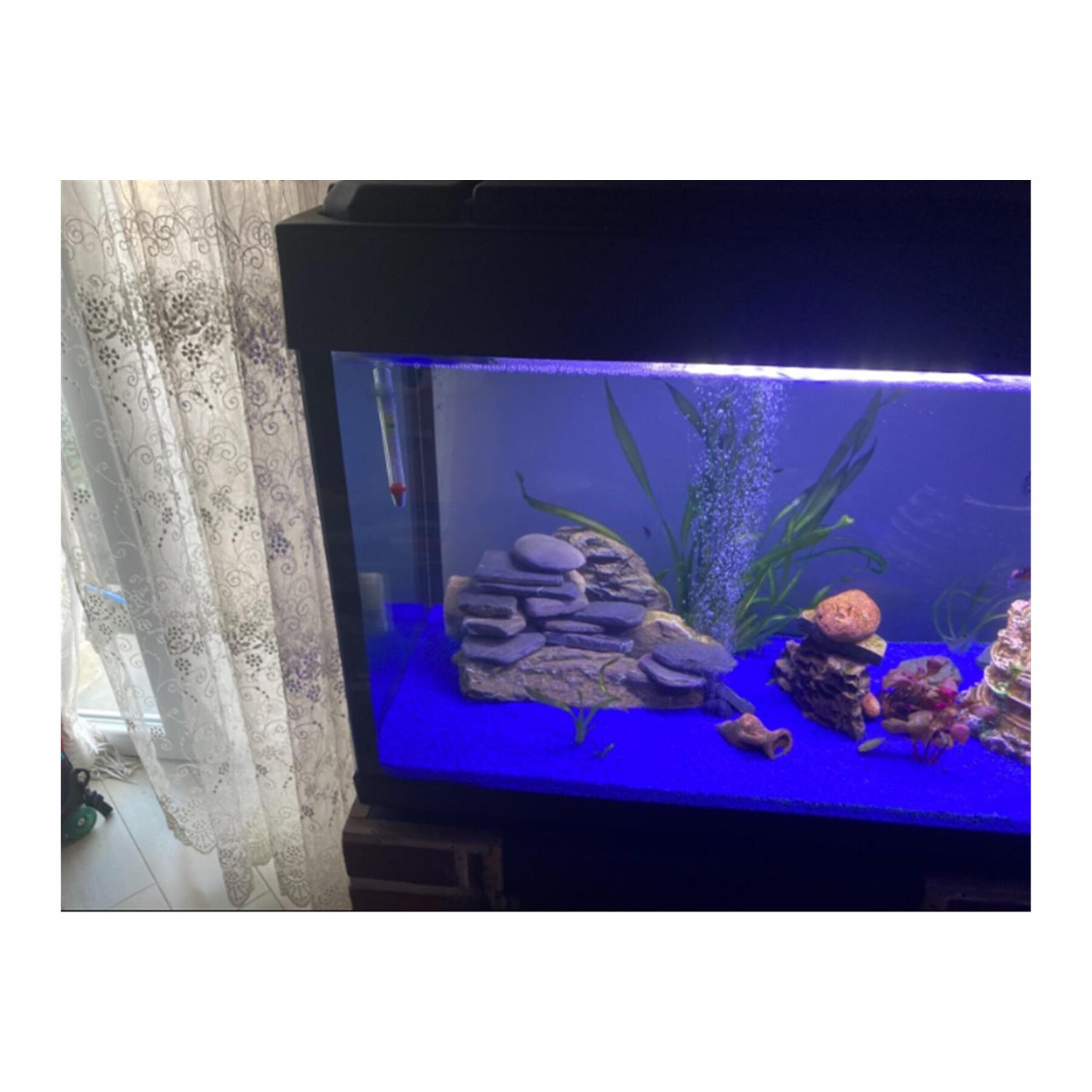 duBAUST Aquariumsilikon SAQ24 310 ml Kartusche - 2 Farben