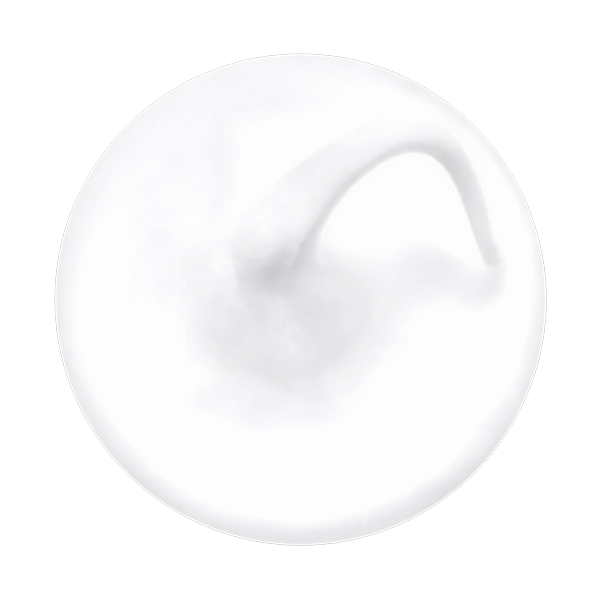 Ramsauer 450 Sanitärsilikon 310 ml Kartusche weiss matt