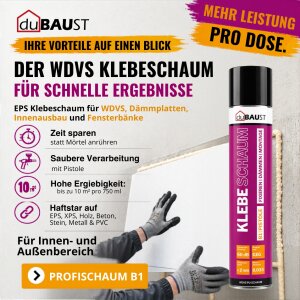 duBAUST WSP24 Klebeschaum  WDVS 750ml –...