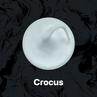 crocus